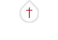 Diecezja Test